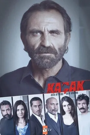 Kaçak portada