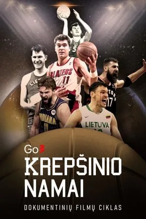 Krepšinio namai portada