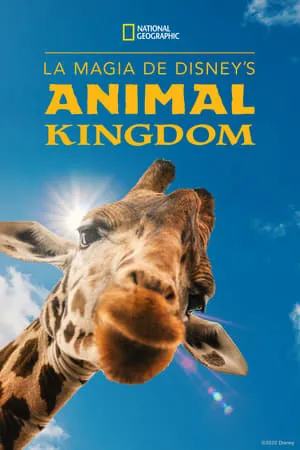 La Magia de Animal Kingdom de Disney portada