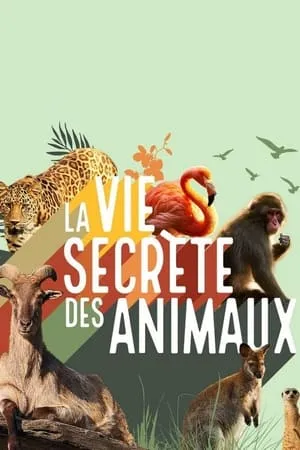 La vie secrète des animaux portada