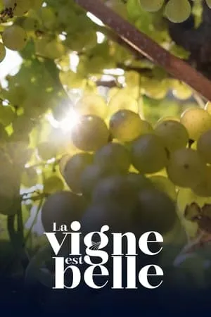 La vigne est belle portada