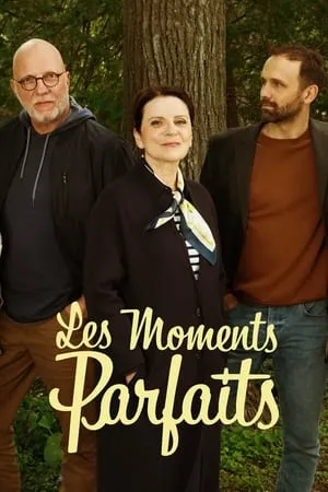 Les moments parfaits portada