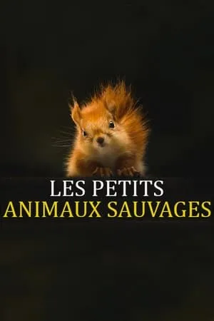 Les Petits Animaux Sauvages portada