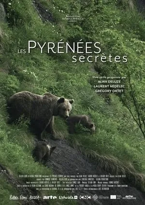 Les Pyrénées secrètes portada