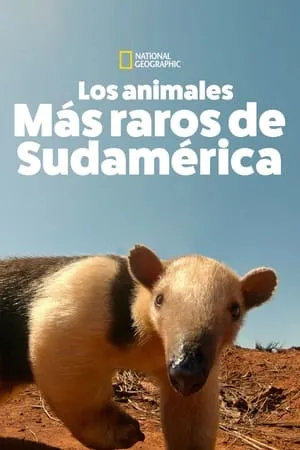 Los Animales Más Raros de Sudamérica portada