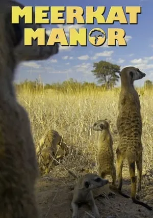 Meerkat Manor portada