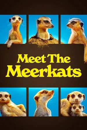 Meet The Meerkats portada