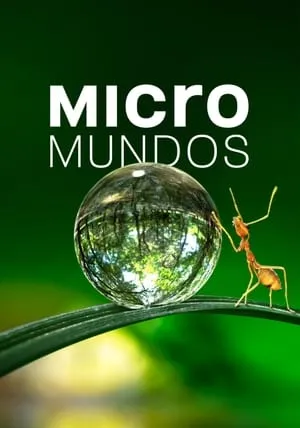 Micromundos portada