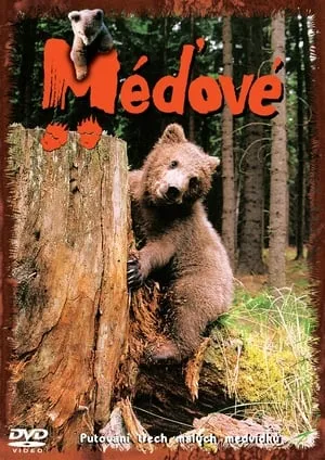 Méďové portada