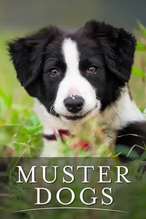 Muster Dogs portada