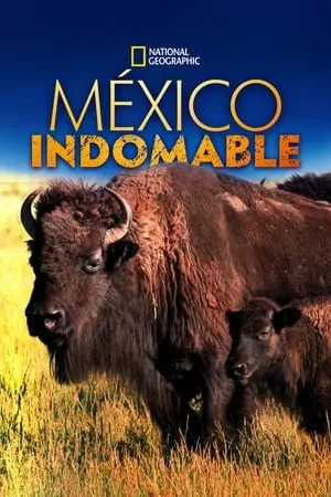 México indomable portada