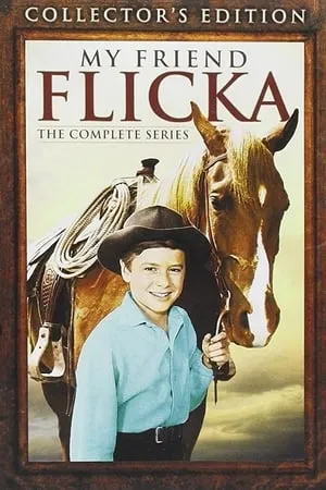 My Friend Flicka portada