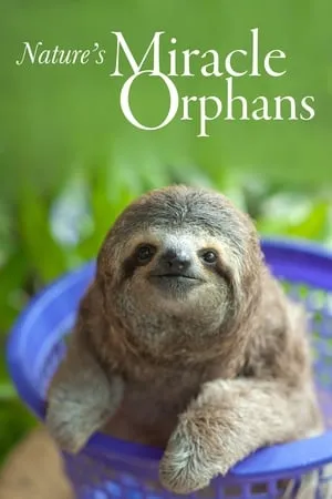 Nature's Miracle Orphans portada