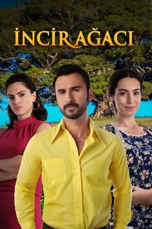 İncir Ağacı portada