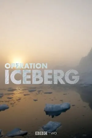 Operation Iceberg portada