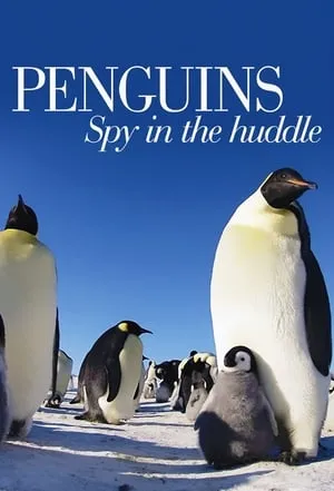 Penguins: Spy in the Huddle portada