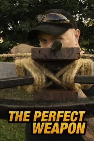 Perfect Weapon portada