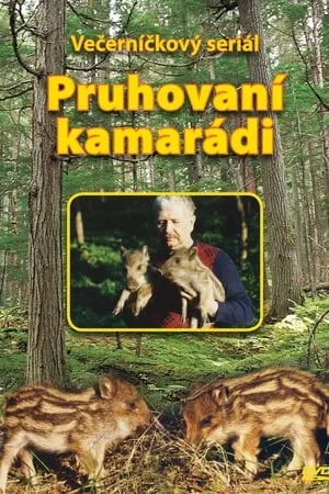 Pruhovaní kamarádi portada