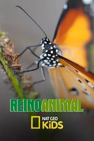 Reino Animal portada