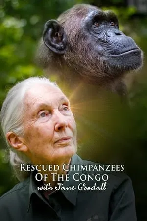 Rescued Chimpanzees of the Congo with Jane Goodall portada