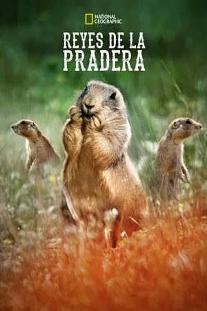 Reyes de la Pradera portada