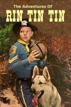 Rin Tin Tin portada