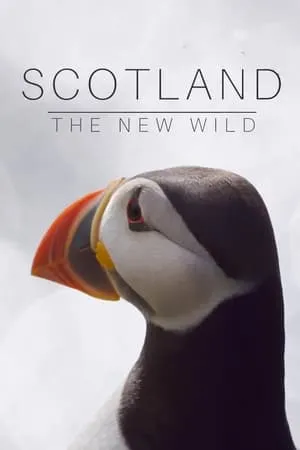 Scotland: The New Wild portada