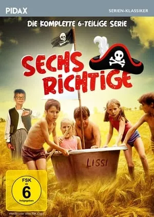 Sechs Richtige portada