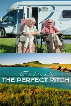 The Perfect Pitch portada