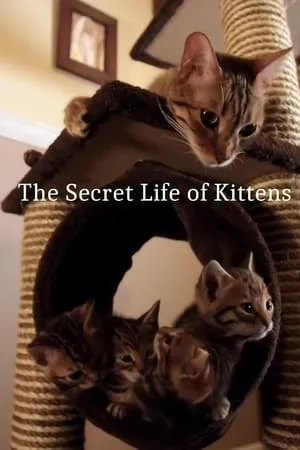 The Secret Life of Kittens portada