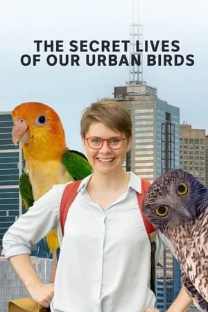 The Secret Lives of Our Urban Birds portada