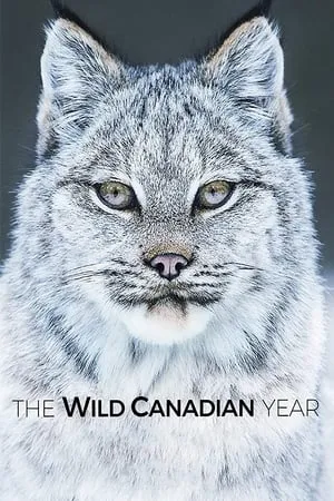 The Wild Canadian Year portada