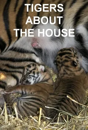 Tigers About the House portada