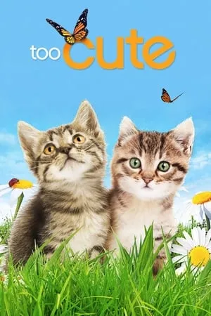 Too Cute portada