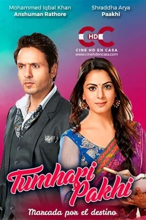 Tumhari Pakhi portada