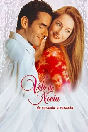 Velo de novia portada