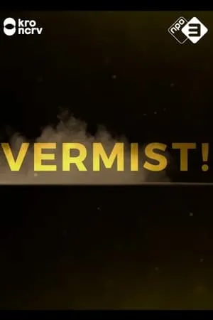 Vermist! portada