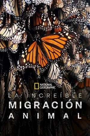 La increíble migración animal portada