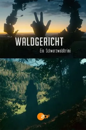 Waldgericht - Ein Schwarzwaldkrimi portada