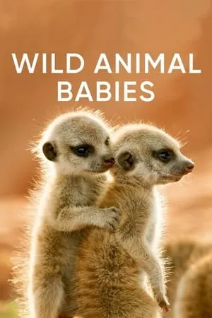 Wild Animals Babies portada