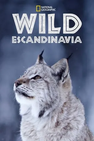 Wild Nordic portada