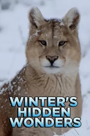 Winter's Hidden Wonders portada