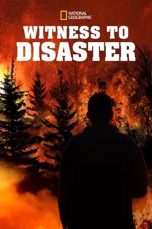 Witness to Disaster portada