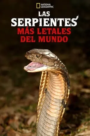 World's Deadliest Snakes portada