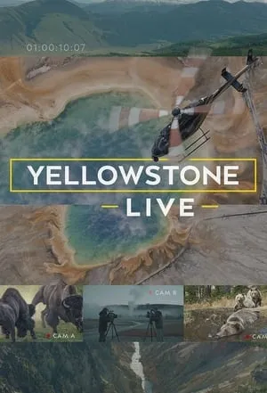 Yellowstone Live portada