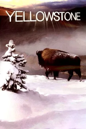 Yellowstone portada