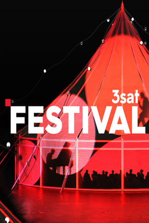 3satfestival portada