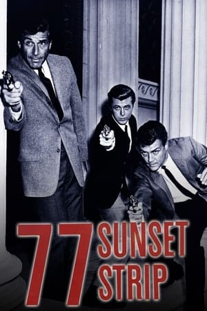 77 Sunset Strip portada