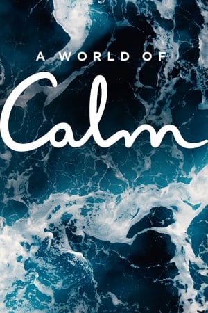 A World of Calm portada