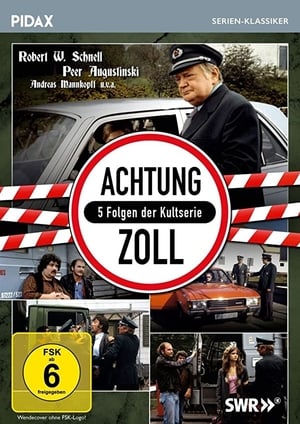 Achtung Zoll portada